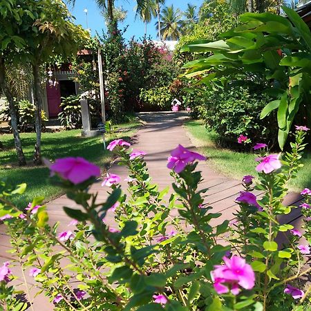 Hotel Casa Robinson Лас Теренас Екстериор снимка