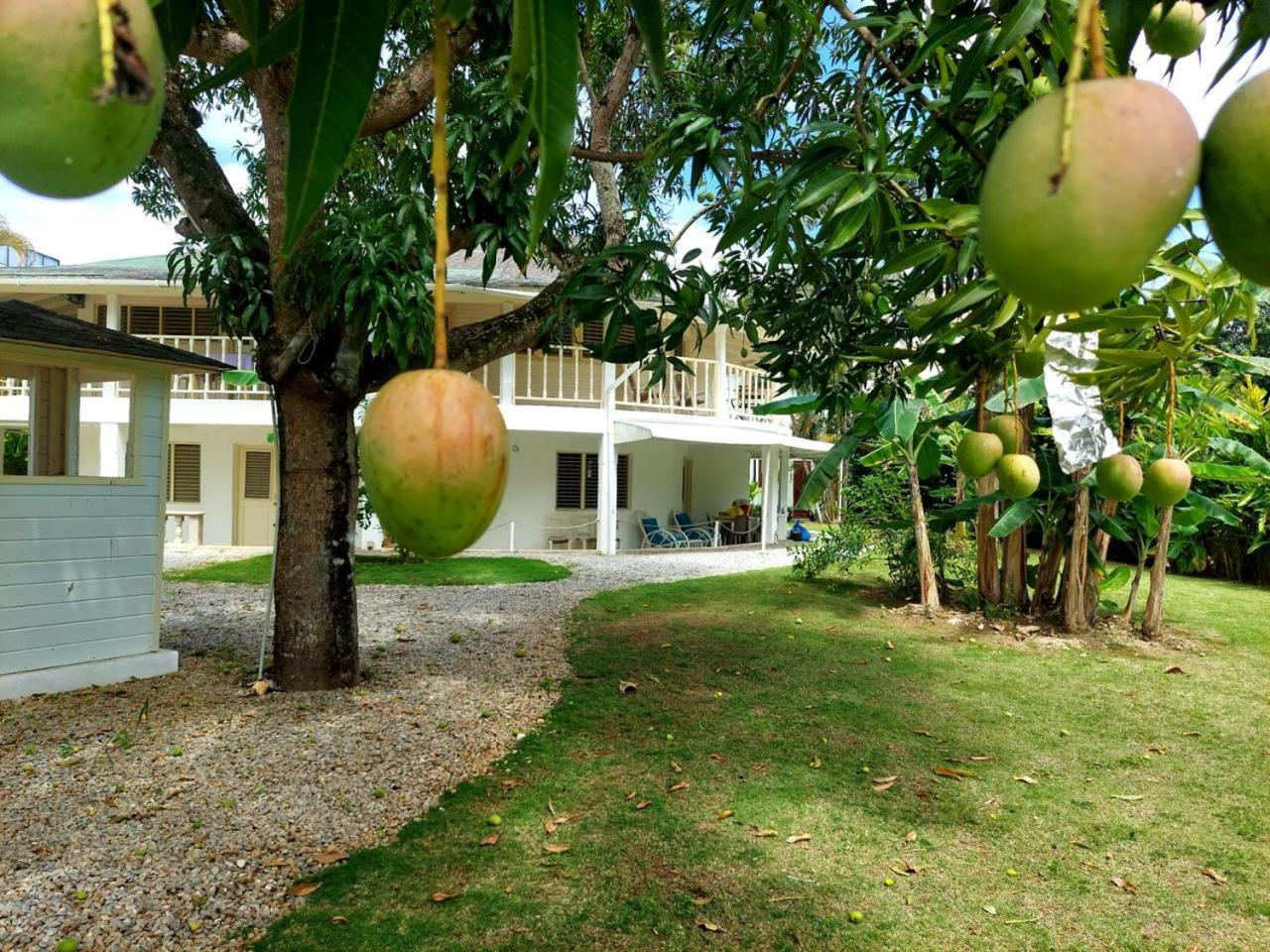 Hotel Casa Robinson Лас Теренас Екстериор снимка