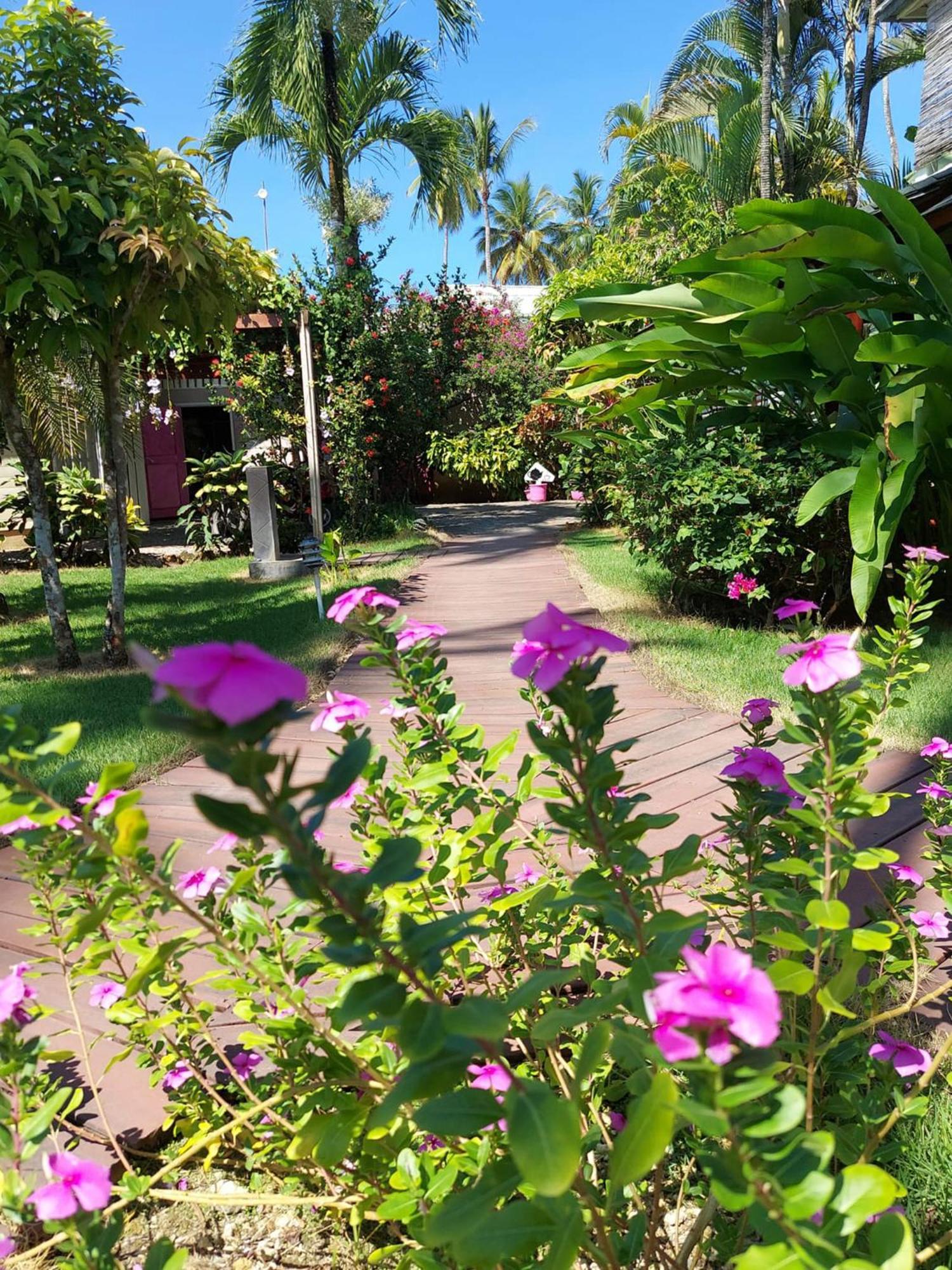 Hotel Casa Robinson Лас Теренас Екстериор снимка